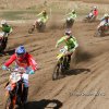 20170402_Lommel (26)